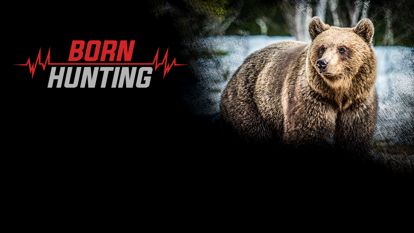 Hunting the Mountain Grizzly