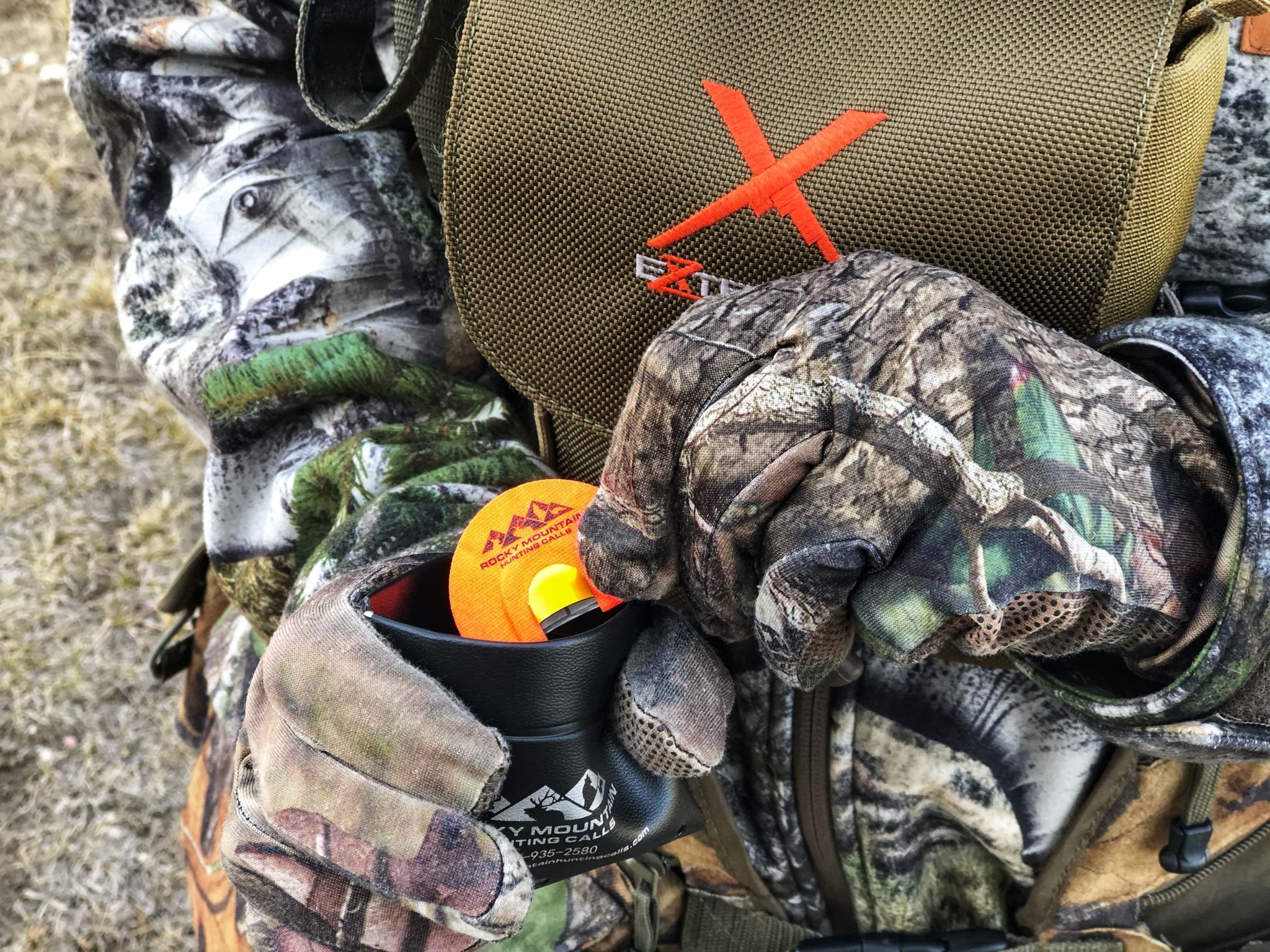 LateSeason Turkey Born Hunting