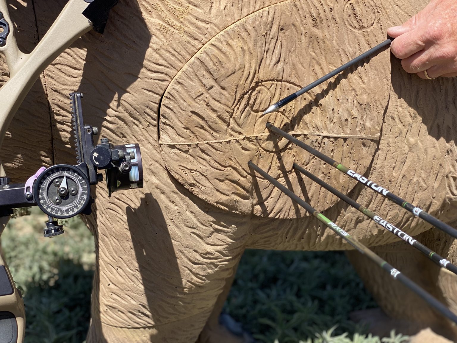 Different Arrows For Different Game? Born Hunting