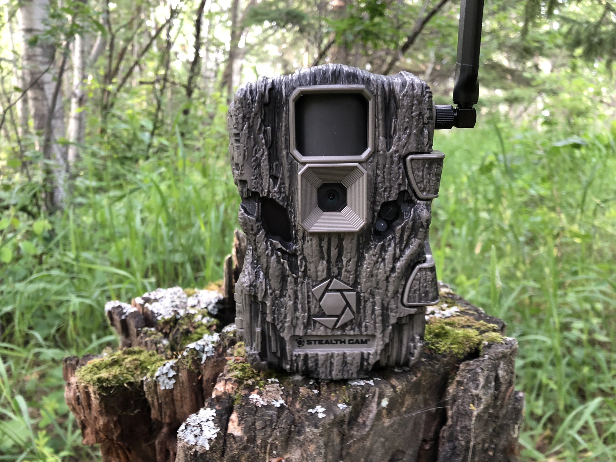 Hunting Economics—The Trail Camera Advantage