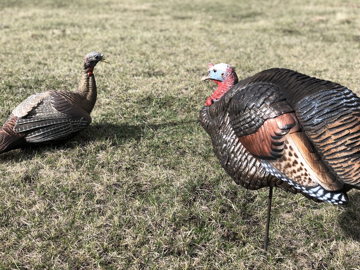 The Three Best Turkey Fakes Available Born Hunting