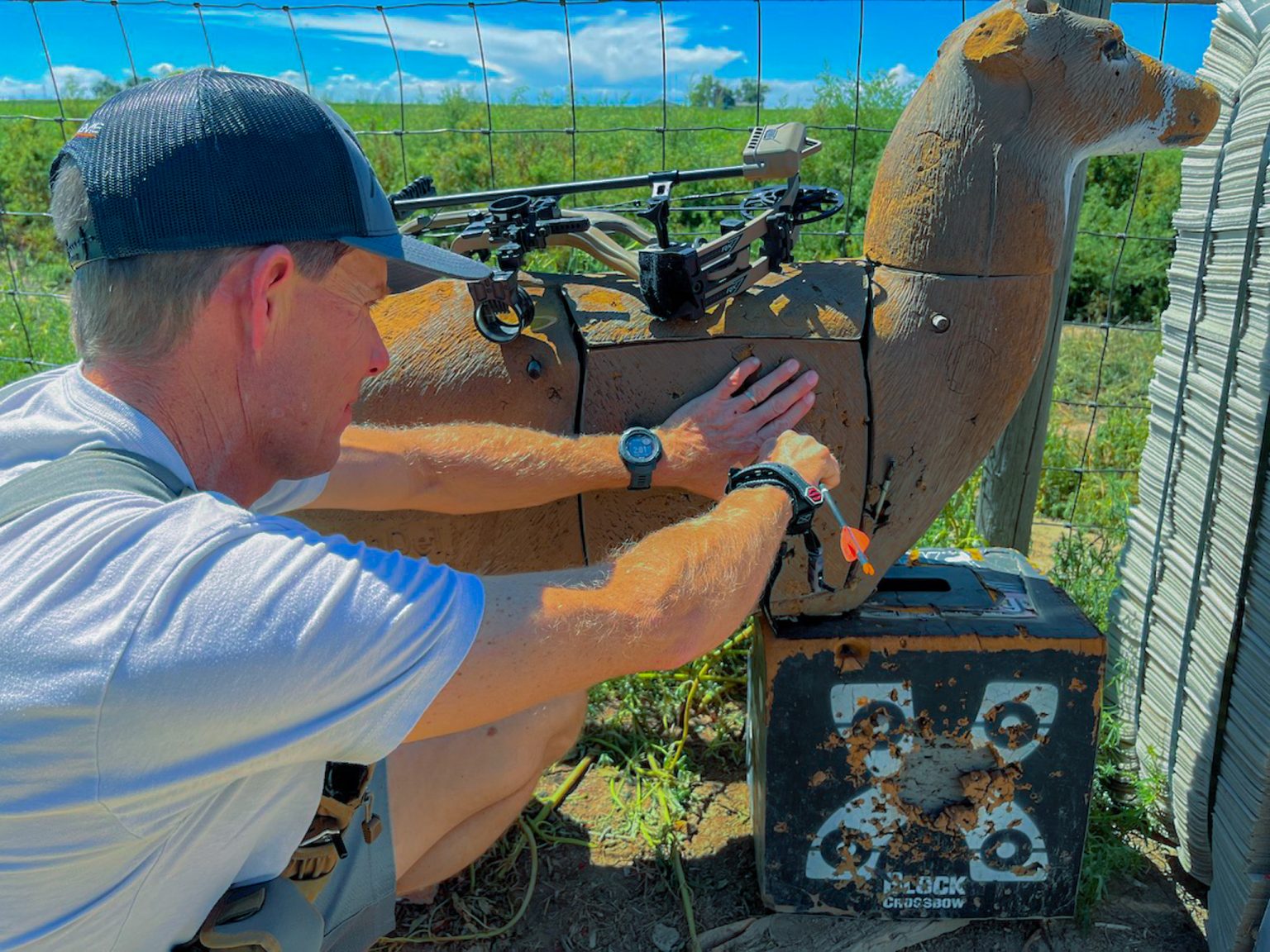The Best Bow Setup For Elk - Born Hunting