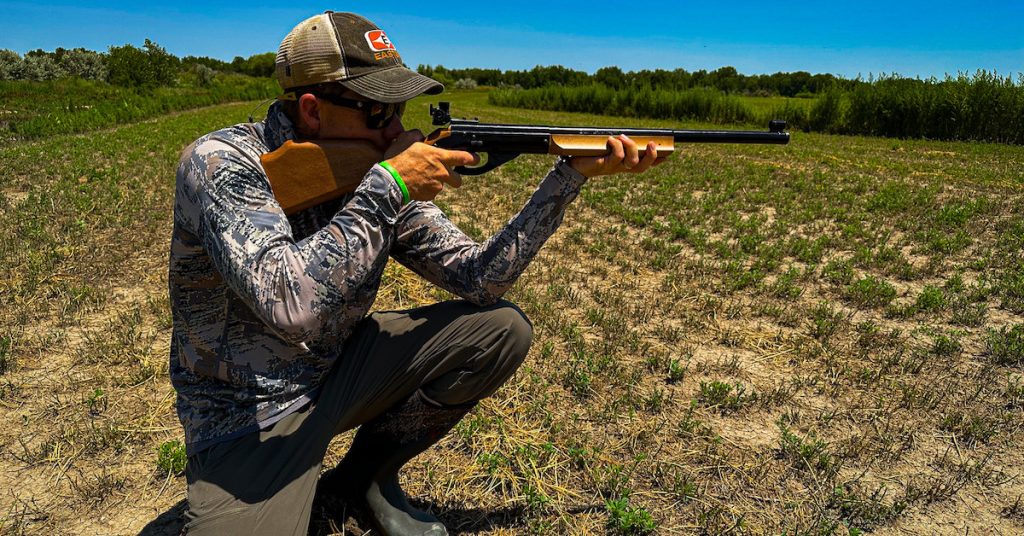 Rifling Fun Daisy Model 499B Champion Competition Air Rifle — For Fun, Competition ...