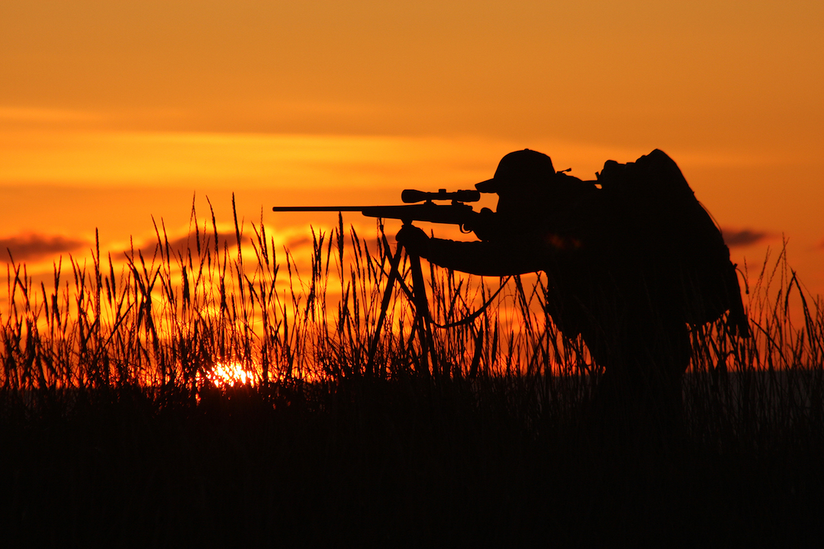 Your Top 10 Rifle Cartridges For Big-Game Hunting