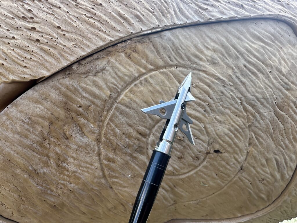 The Best Broadhead Of 2024: Sevr's Ti 1.5 4 Blade Hybrid