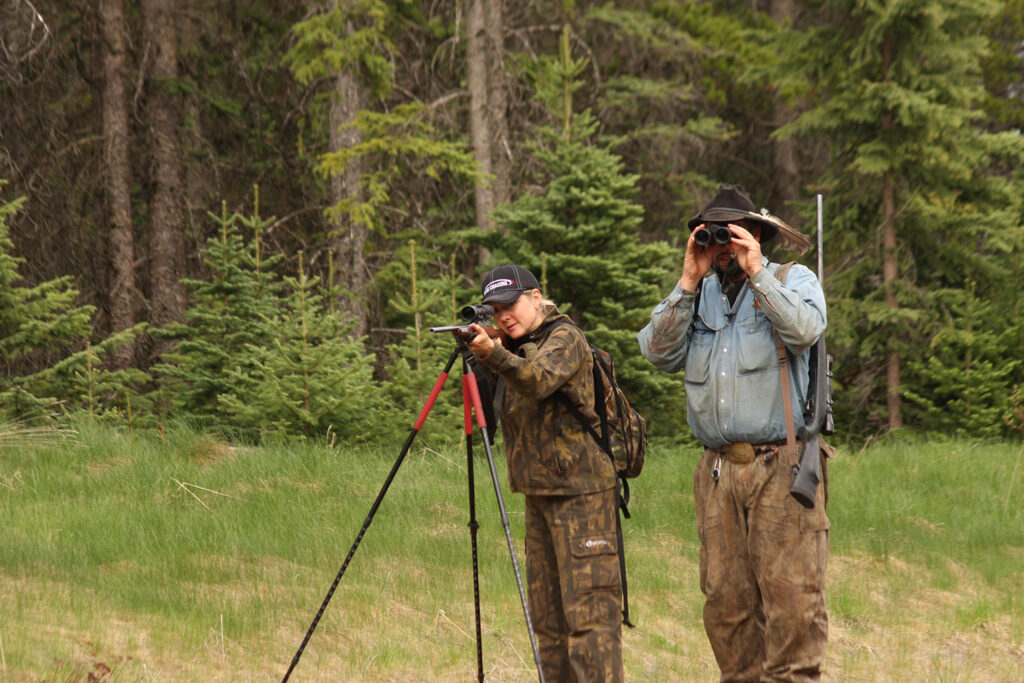 British Columbia Black Bear Adventures