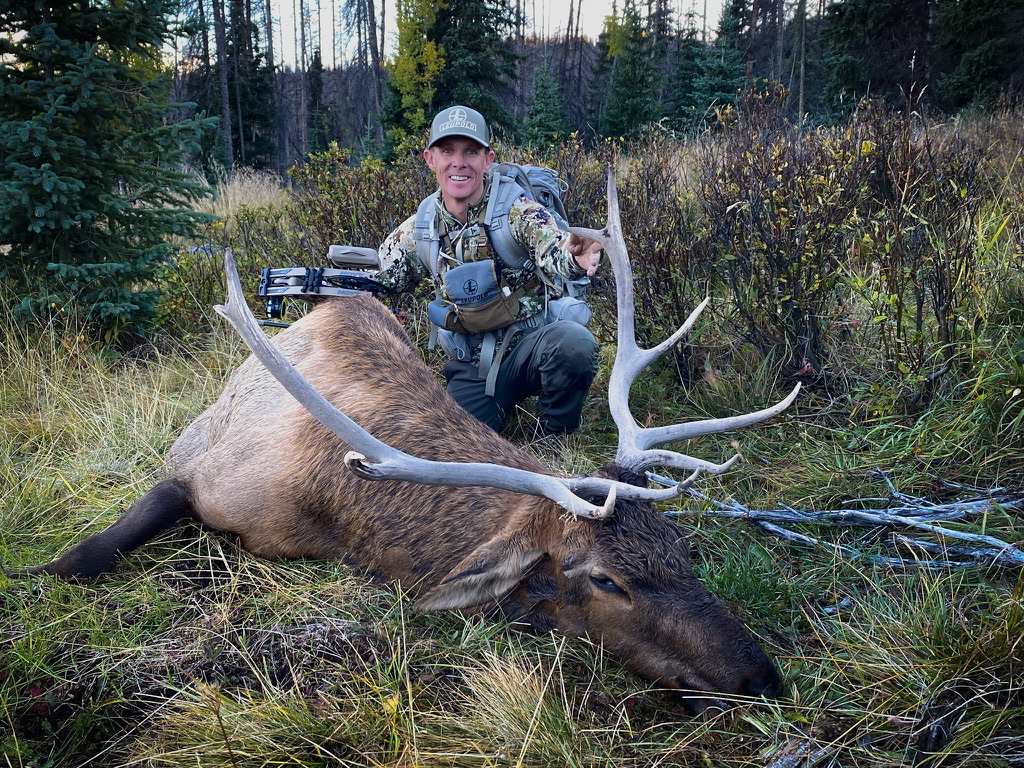 Four Great Elk Arrows For 2024