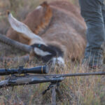 Reviewed: Browning 6.8 Western X Bolt 2 Speed Spr