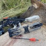Four Great Elk Arrows For 2024
