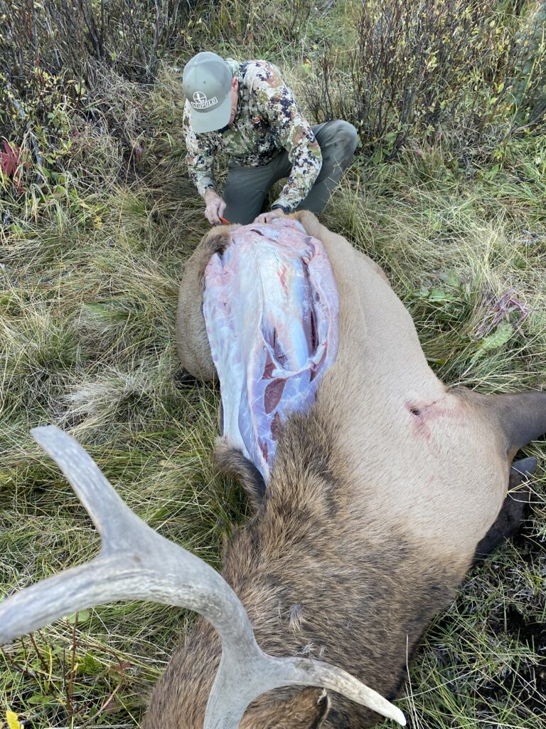 The 5 Best Elk Knives Of 2024