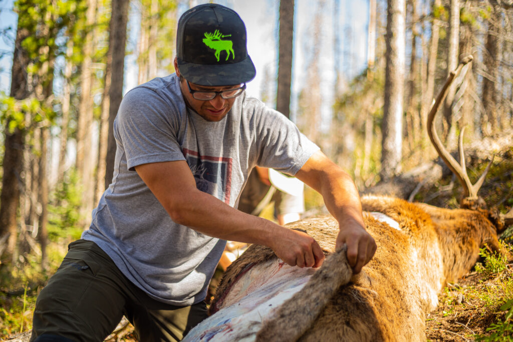 The 5 Best Elk Knives Of 2024