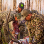 The 5 Best Elk Knives Of 2024