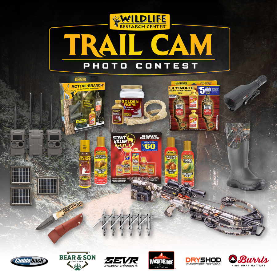 Wildlife Research Center Launches Trail Cam Photo Contest