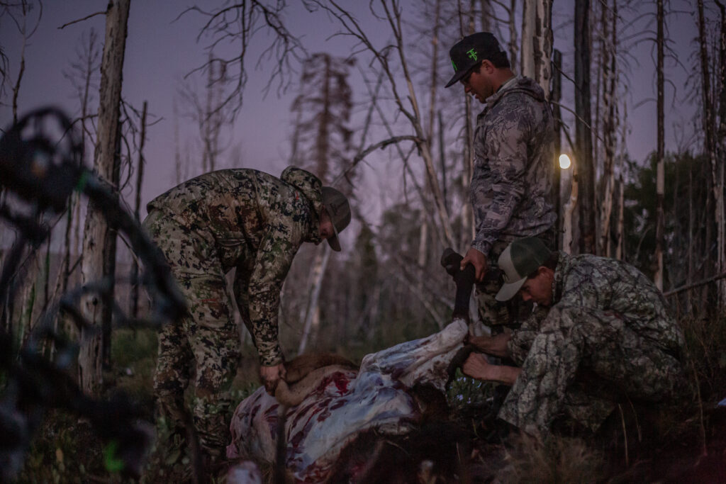 Spend The Evening Glassing For Elk