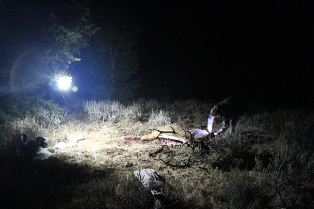 Spend The Evening Glassing For Elk