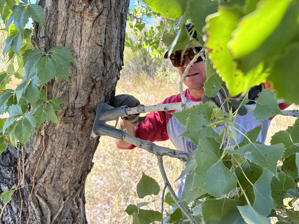 Mock Scrape 101 Using Wildlife Research Center's Golden Rope Scent Rope Kit