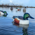 Gear Up For Waterfowl