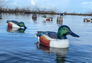Gear Up For Waterfowl
