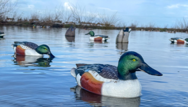 Gear Up For Waterfowl