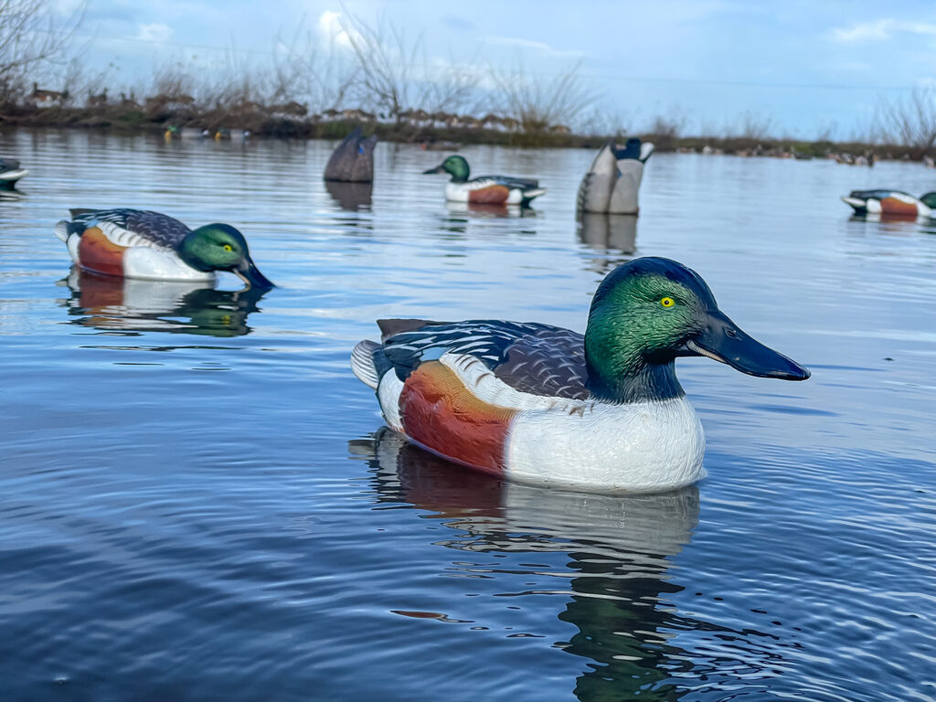 Gear Up For Waterfowl