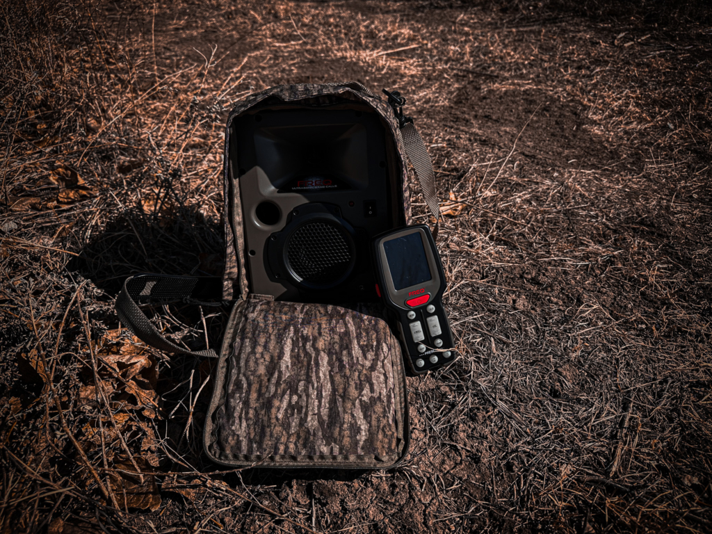 a camera on a stump