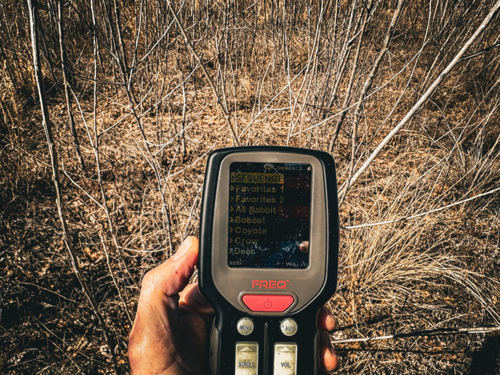 a person holding a handheld game device