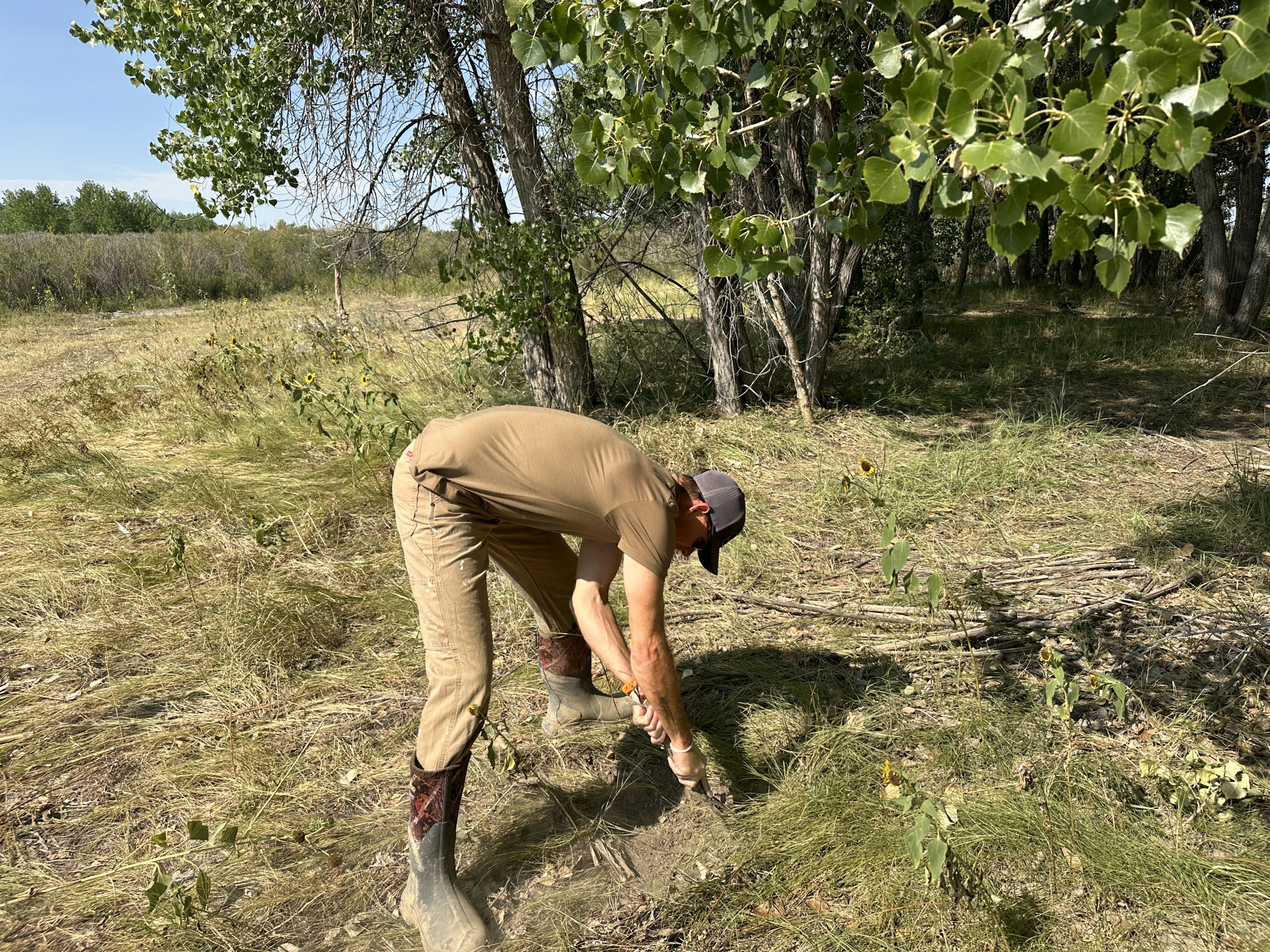 Mock Scrape 101 Using Wildlife Research Center's Golden Rope Scent Rope Kit