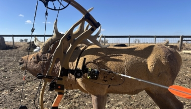 Tested: Hoyt Carbon Rx 9 Ultra