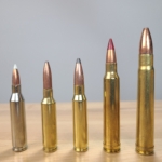 The Five Most Versatile Hunting Cartridges Today