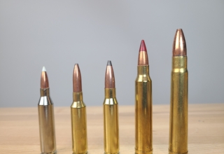 The Five Most Versatile Hunting Cartridges Today