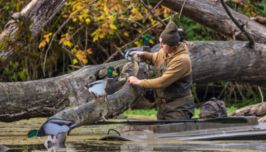 Trick Out Your Silhouettes For Late Season Ducks