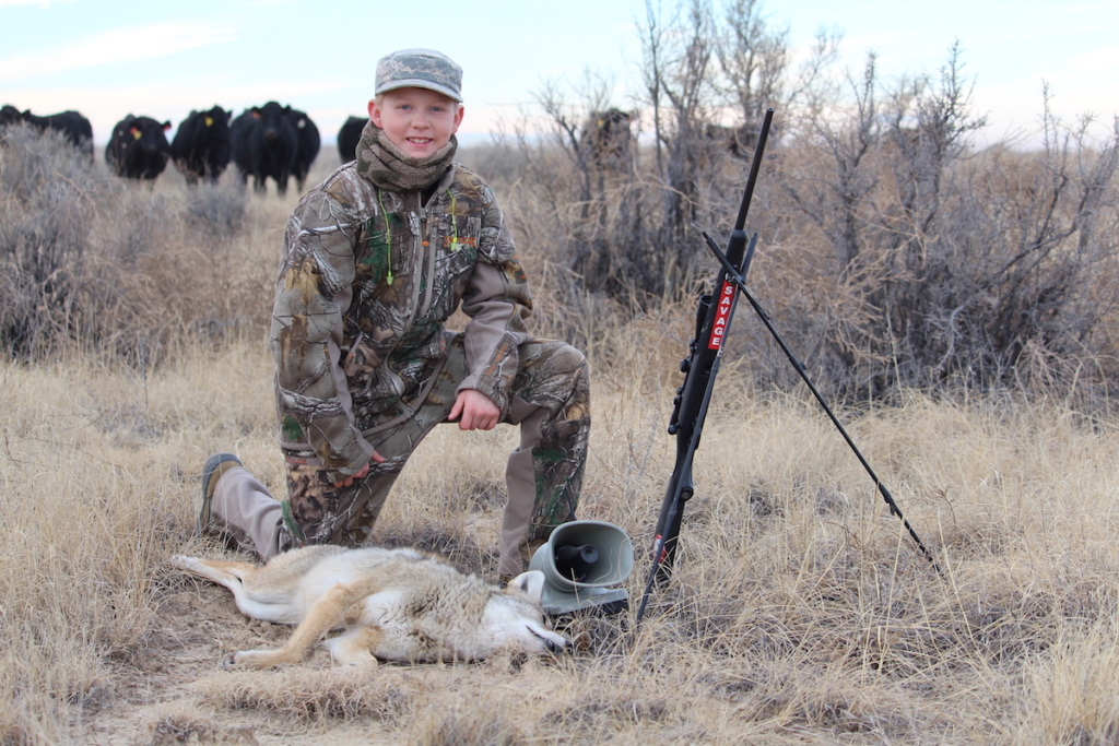 Seven Tips To Call In More Predators