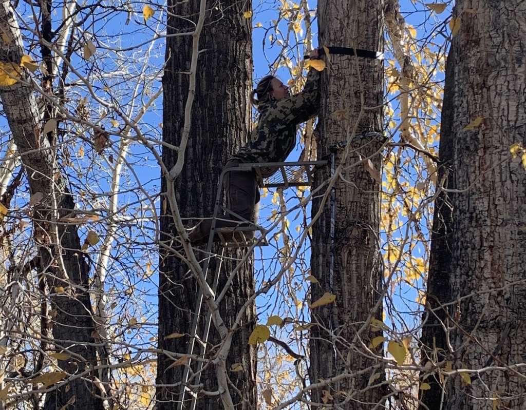 Embracing The Challenge Of Whitetail Hunting
