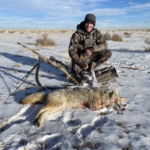 Seven Tips To Call In More Predators