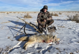 Seven Tips To Call In More Predators