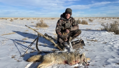 Seven Tips To Call In More Predators