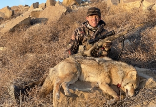 5 Excellent Predator Calibers
