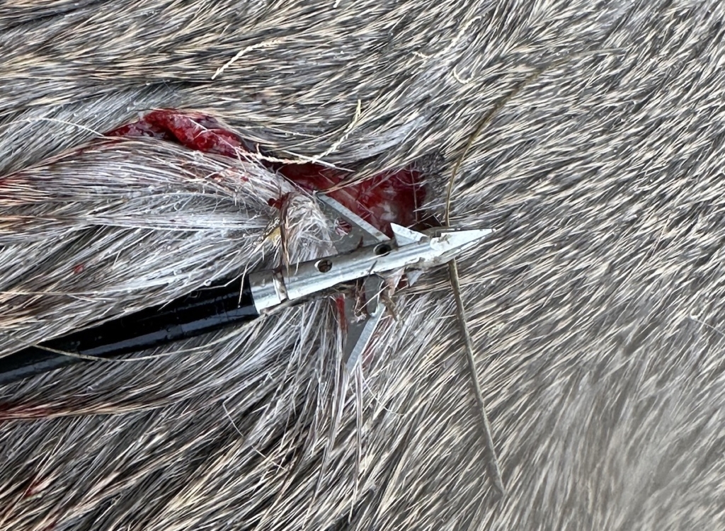 2024 Born Hunting Gear Excellence Awards