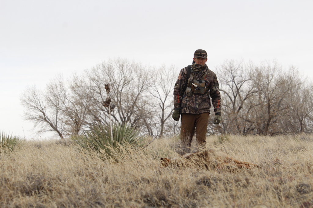 Seven Tips To Call In More Predators