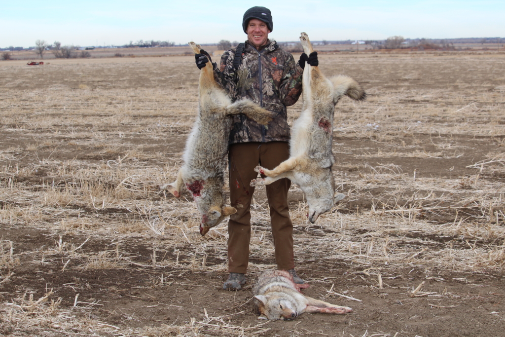 How To Find Top Tier Coyote Locations