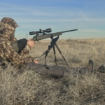 How To Find Top Tier Coyote Locations