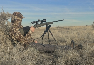 How To Find Top Tier Coyote Locations