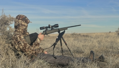 How To Find Top Tier Coyote Locations