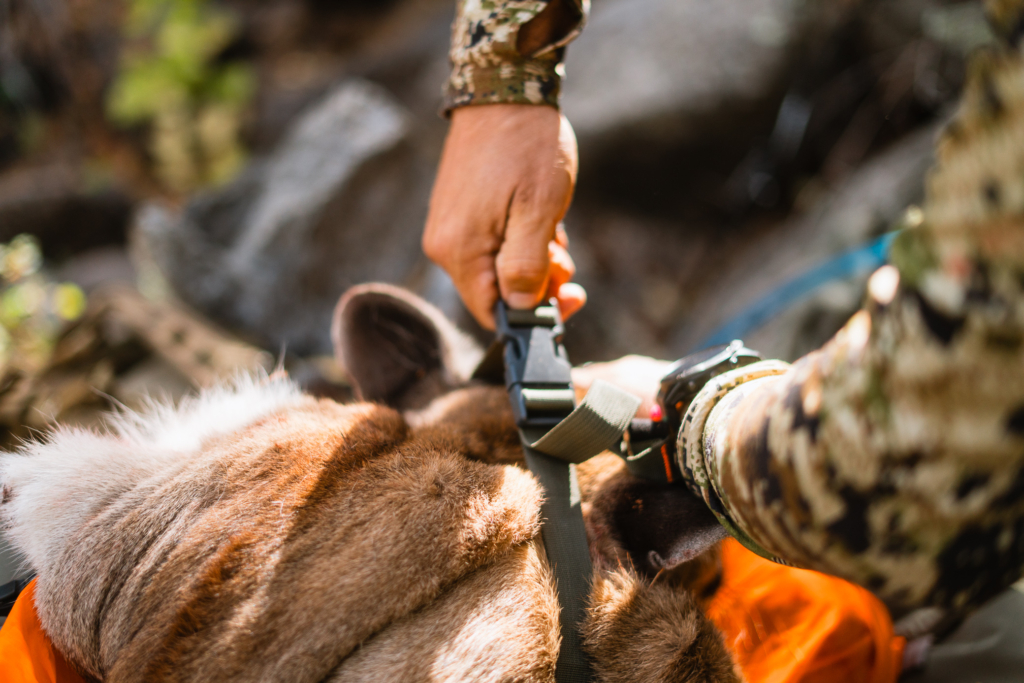 Three Reasons Hunters Head Home Early From A Hunt & How To Combat Them