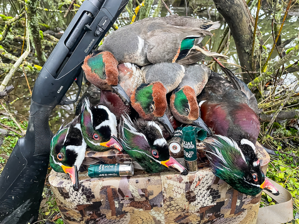 Tested & Proven Hunt Tough: Benelli Performance Shop Ethos Cordoba A. I. Be.s.t.