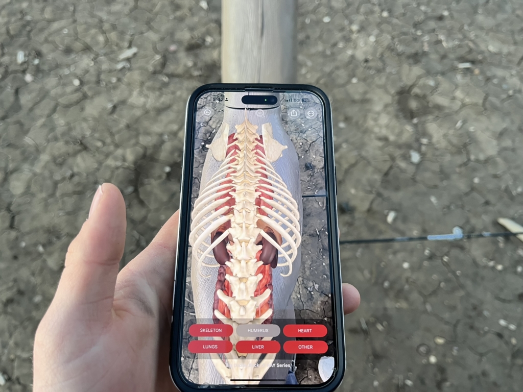 Tested True: Delta Mckenzie Big Daddy Xray Series
