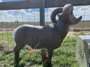 Tested True: Delta Mckenzie Big Daddy Xray Series