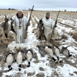 Dominate Late Season Honkers On Public Dirt