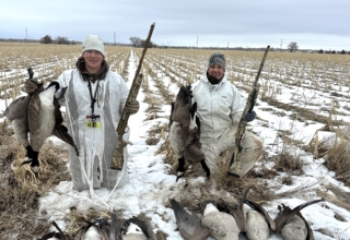Dominate Late Season Honkers On Public Dirt