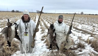 Dominate Late Season Honkers On Public Dirt